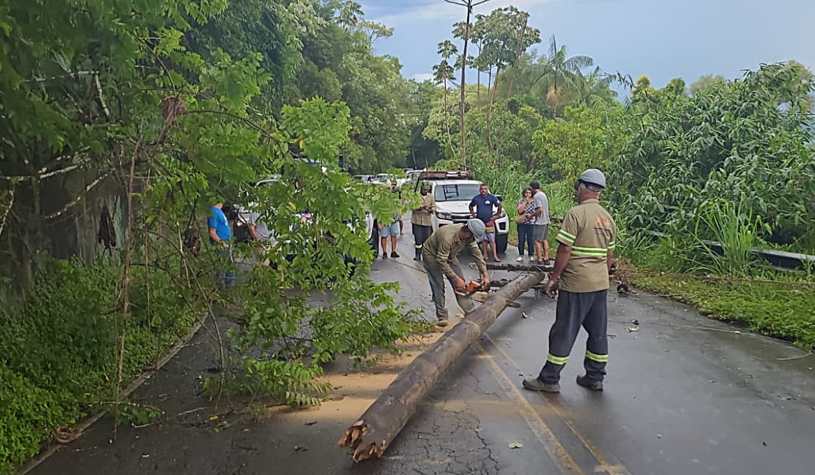 Temporal com ventos de 60 km/h interdita RJ-163 em Visconde de Mauá