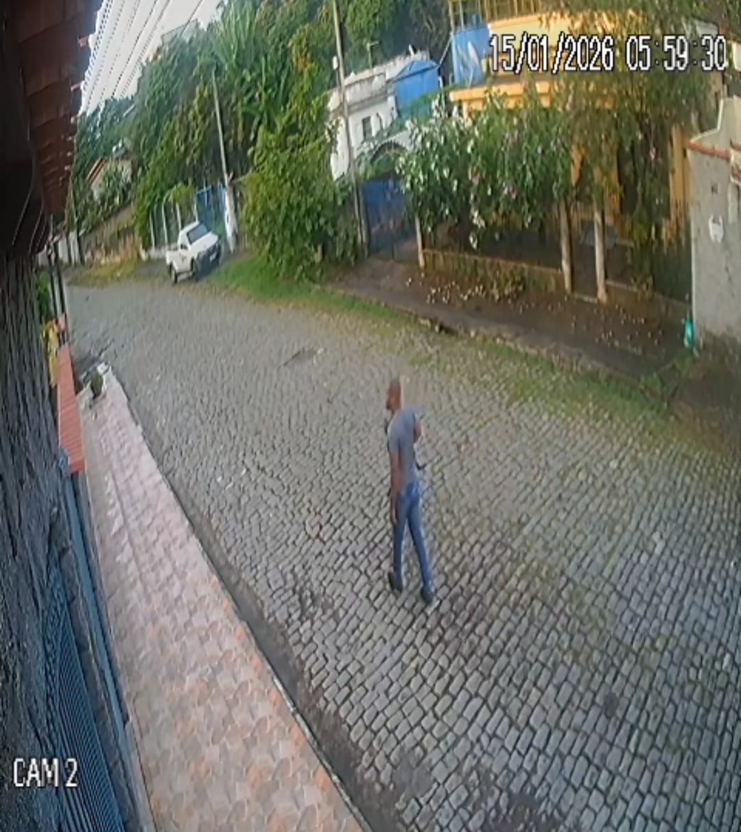 Secretaria de Proteção dos Animais acompanha caso de cachorro abandonado em Floriano