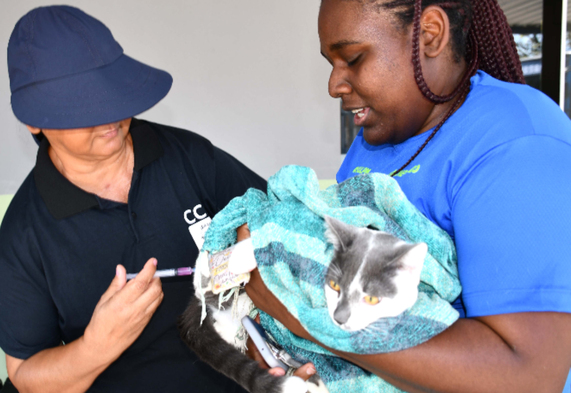 Campanha de vacinação antirrábica começa neste sábado (21) em Resende