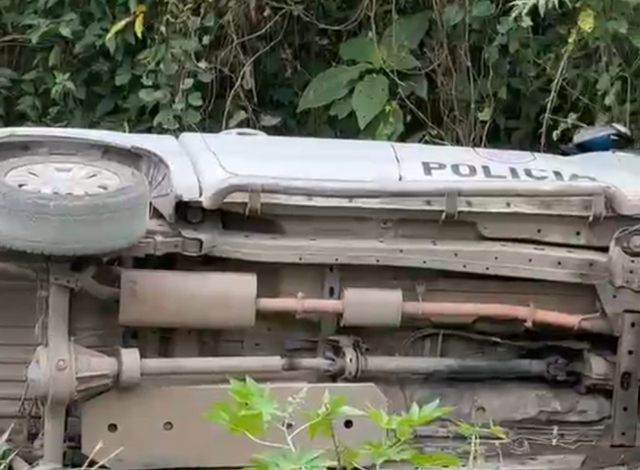 Notícia