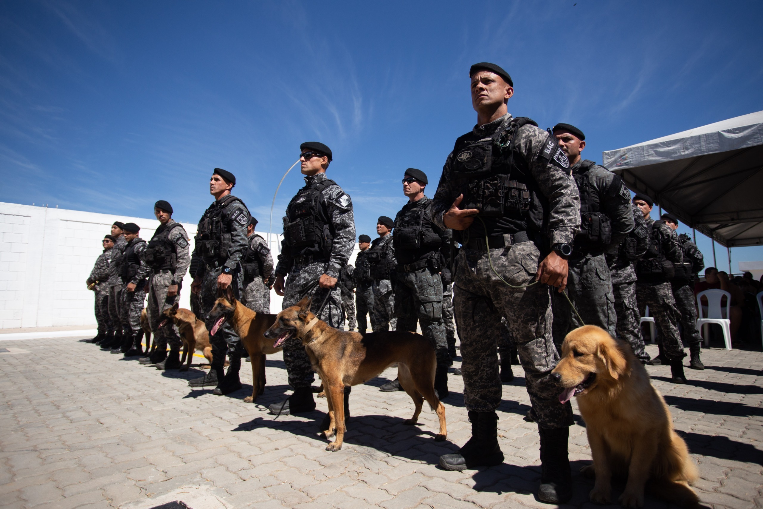 Batalhão de Ações com Cães é inaugurado em Volta Redonda e região terá base do Grupamento Aeromóvel da PM