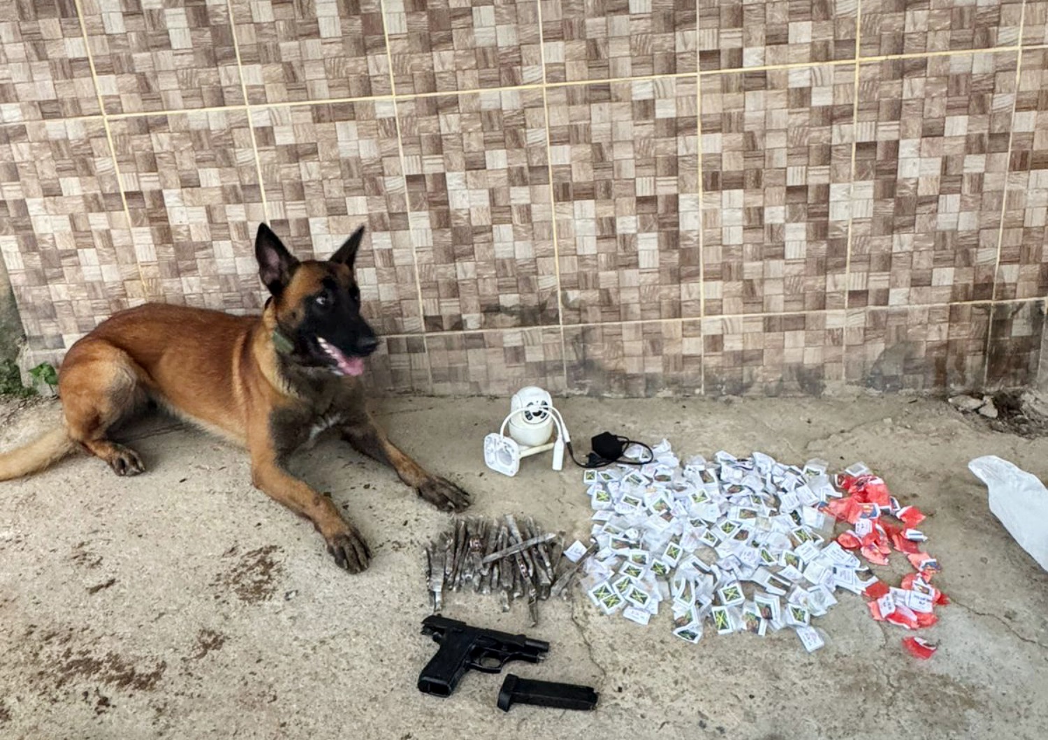 Companhia do Batalhão de Ações com Cães sediada em Volta Redonda faz primeira ocorrência na região