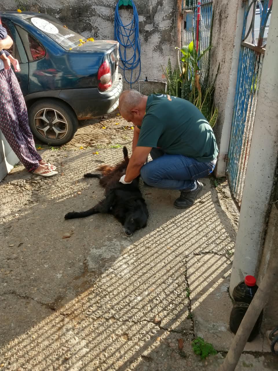 Itatiaia reforça prevenção contra a febre maculosa
