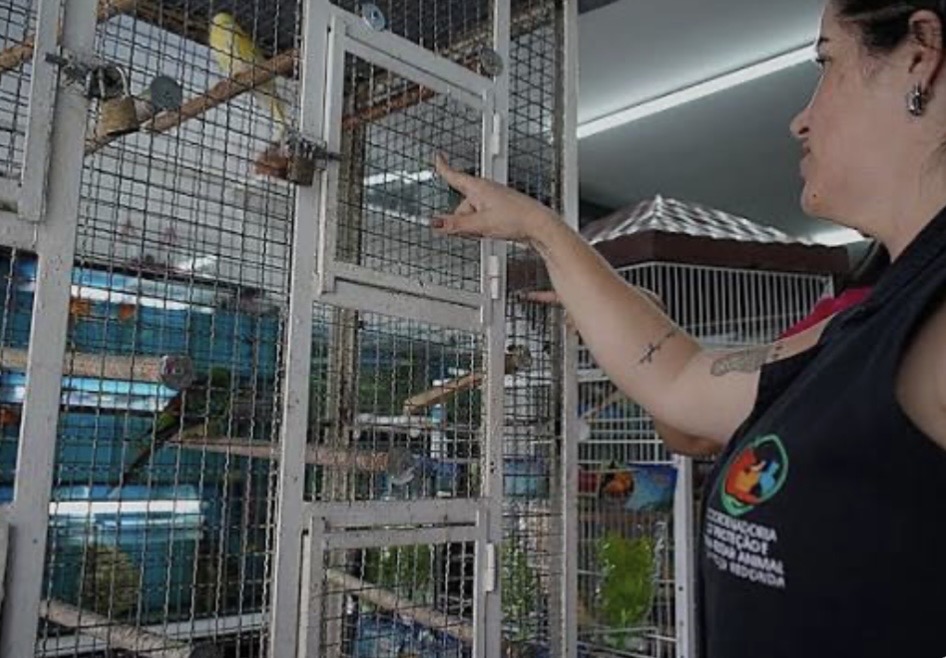 Fiscalização apreende 309 animais em estabelecimentos de Volta Redonda